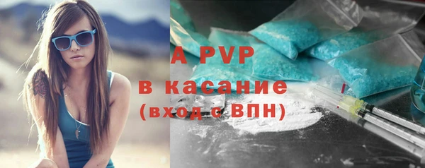 ПСИЛОЦИБИНОВЫЕ ГРИБЫ Няндома