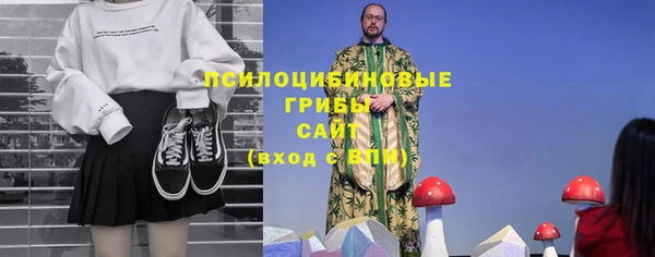 сатива Нязепетровск