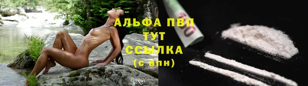 гидра Осинники