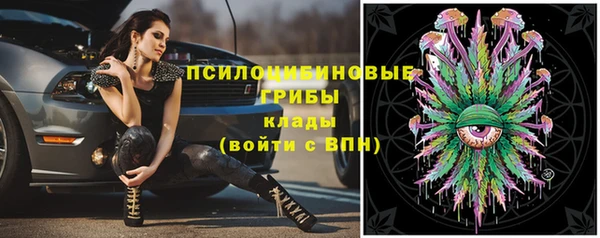 гидра Осинники